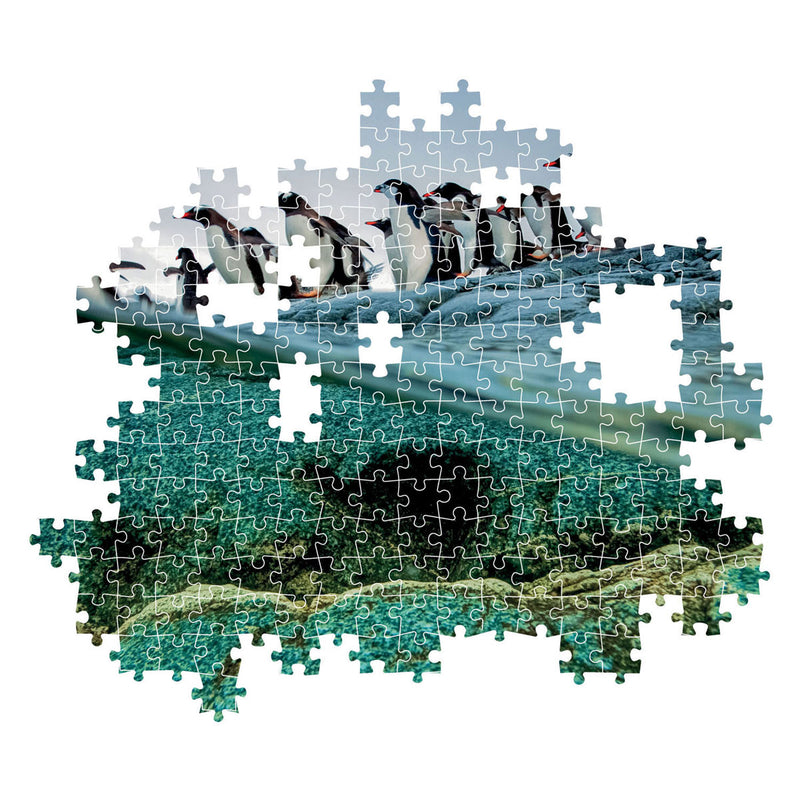 Afbeelding laden in galerijviewer, Clementoni Legpuzzel National Geographics - Penguin, 1000st.
