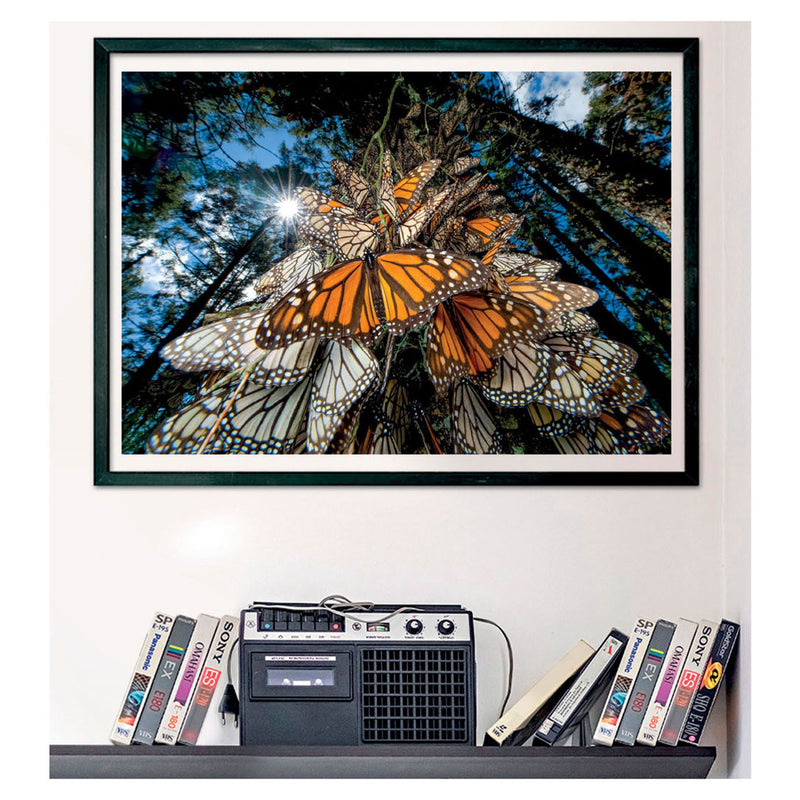 Afbeelding laden in galerijviewer, Clementoni Legpuzzel National Geographics - Vlinder, 1000st.
