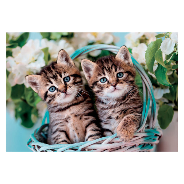 Afbeelding laden in galerijviewer, Clementoni legpuzzel super color lovely kitty twins, 60st.
