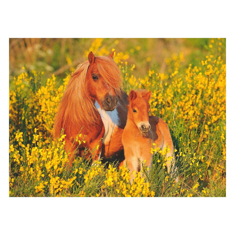 Afbeelding laden in galerijviewer, Ravensburger Shetlandpony's, 100st. XXL
