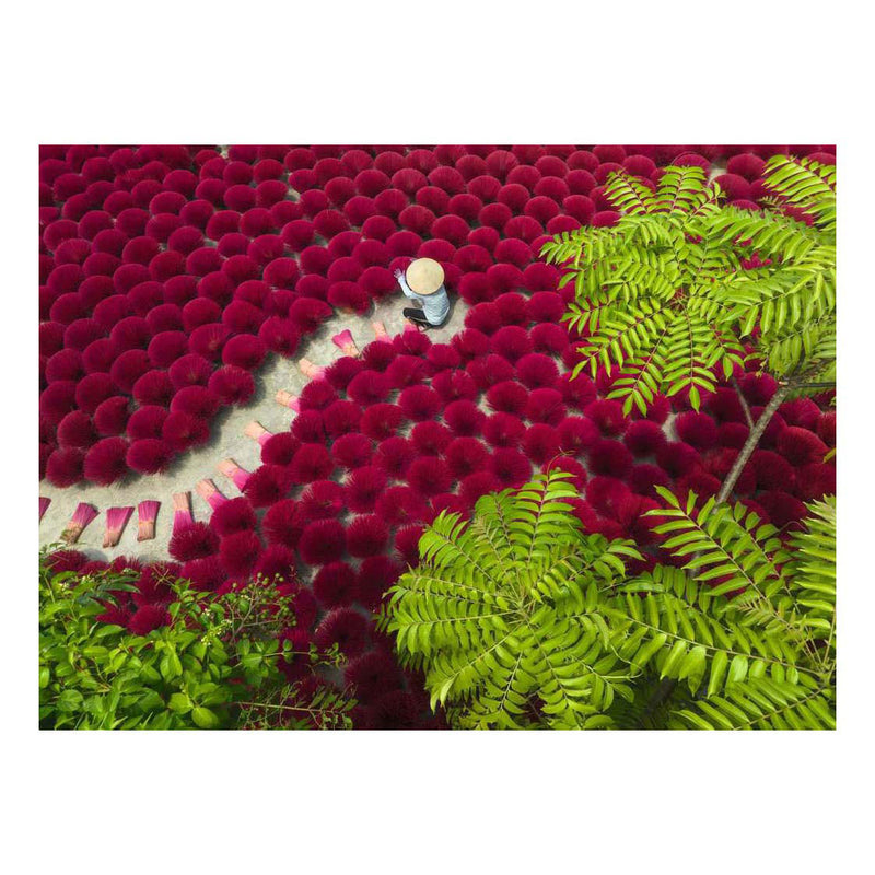 Afbeelding laden in galerijviewer, Ravensburger legpuzzel a sea of red - 500st.
