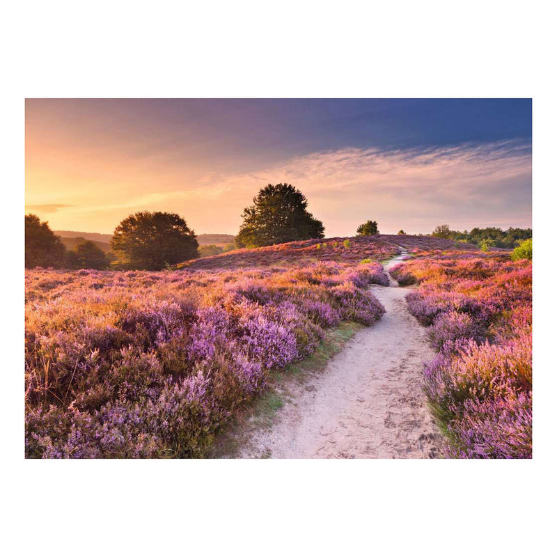 Afbeelding laden in galerijviewer, Ravensburger – legpuzzel – 1000 stukjes – 70 x 50 cm
