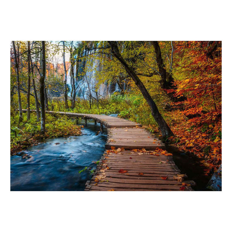 Afbeelding laden in galerijviewer, Ravensburger puzzel autumnal wood trail 1000 stukjes
