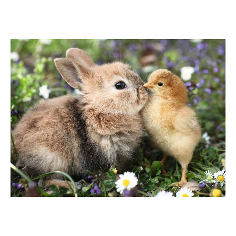 Afbeelding laden in galerijviewer, Ravensburger – rabbit and chick – legpuzzel – 500 stukjes
