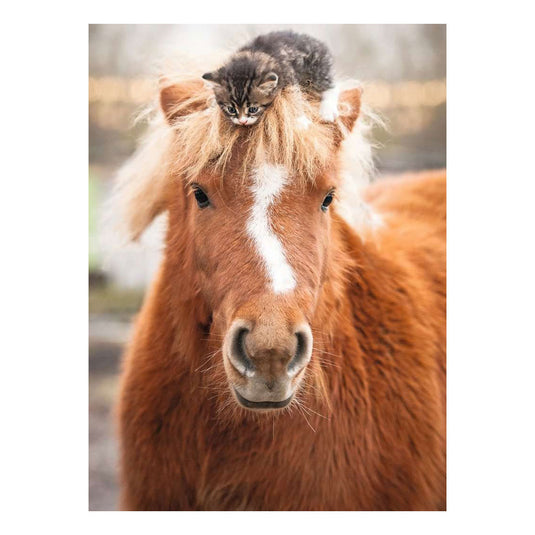 Ravensburger legpuzzel pony and cat - 500st.