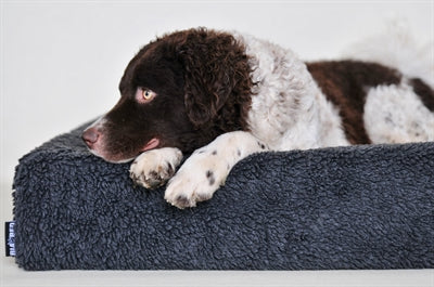 Afbeelding laden in galerijviewer, Bia bed fleece hoes hondenmand grijs
