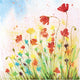 Servetten, papaver, afm 33x33 cm, 20 stuk 1 doos