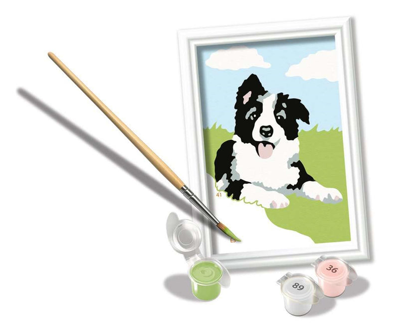 Afbeelding laden in galerijviewer, Ravensburger creart schilderen op nummer border collie
