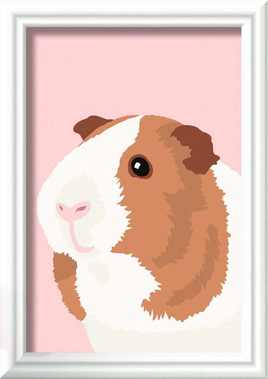 Ravensburger creart schilderen op nummer - cavia