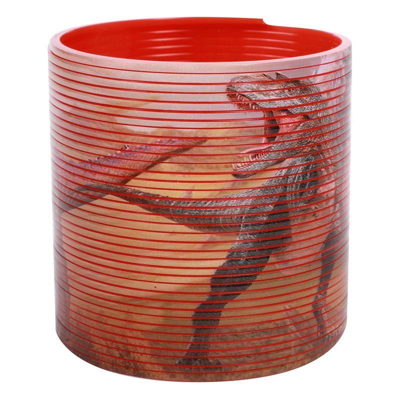 Afbeelding laden in galerijviewer, Toi-toys world of dinosaurs loopveer met dinoprint
