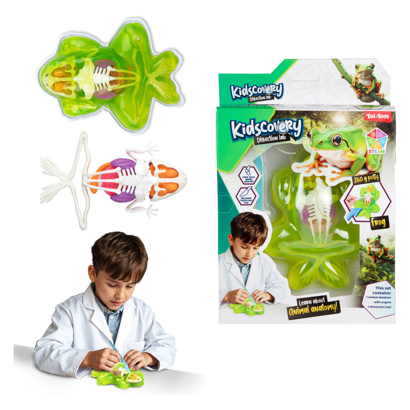 Afbeelding laden in galerijviewer, Toi-toys slijm uitgraafset dier met tool
