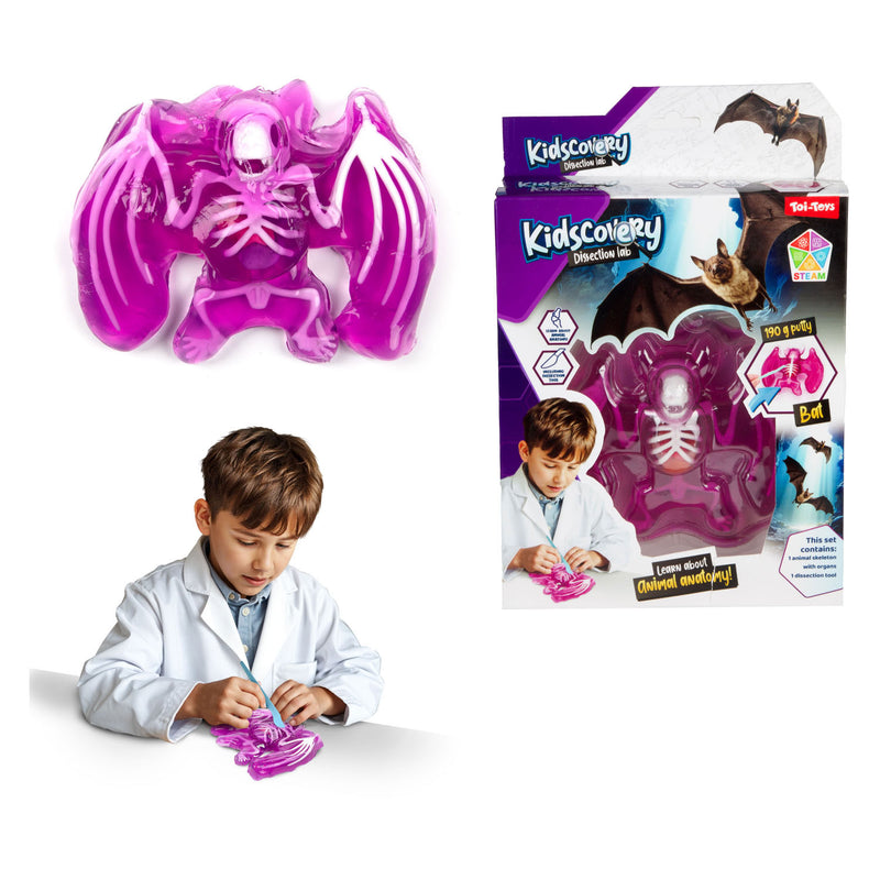 Afbeelding laden in galerijviewer, Toi-toys slijm uitgraafset dier met tool
