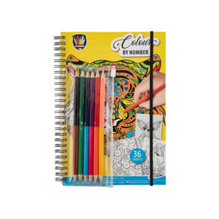 Afbeelding laden in galerijviewer, Grafix kleuren op nummer kleurboek met kleurpotloden.
