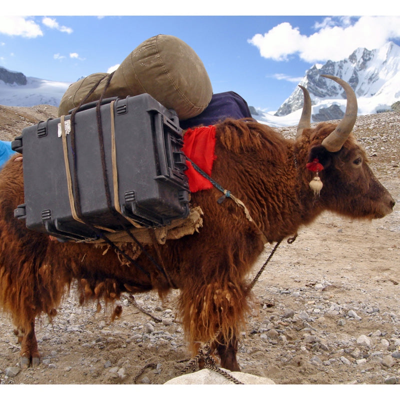Afbeelding laden in galerijviewer, Explorer cases 3317hl koffer zwart
