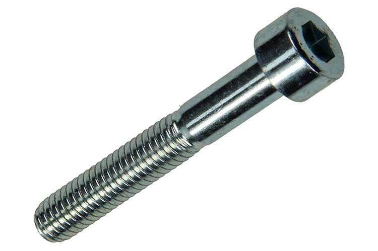 Afbeelding laden in galerijviewer, Mack 1017651 - binnenzeskant bout cyl.kop verz. 5 st m6 x 40 mm | 10 stuks

