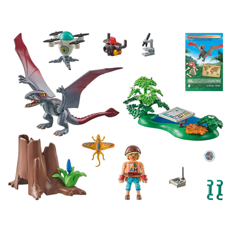Afbeelding laden in galerijviewer, PLAYMOBIL Dinos Observatiepost voor Dimorphodon 71525
