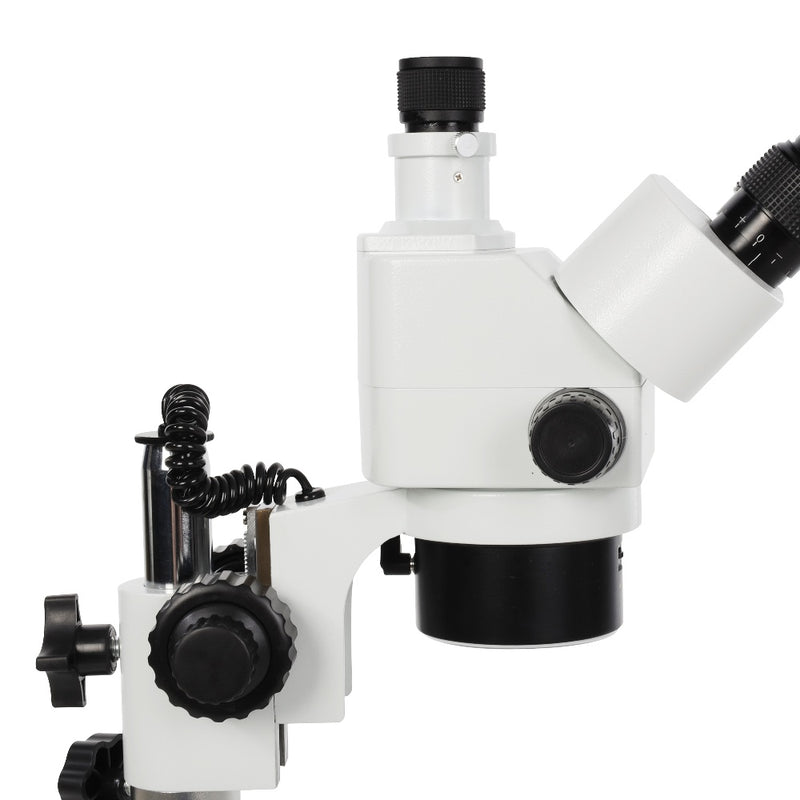 Afbeelding laden in galerijviewer, Byomic Stereo Microscoop BYO-ST341 LED

