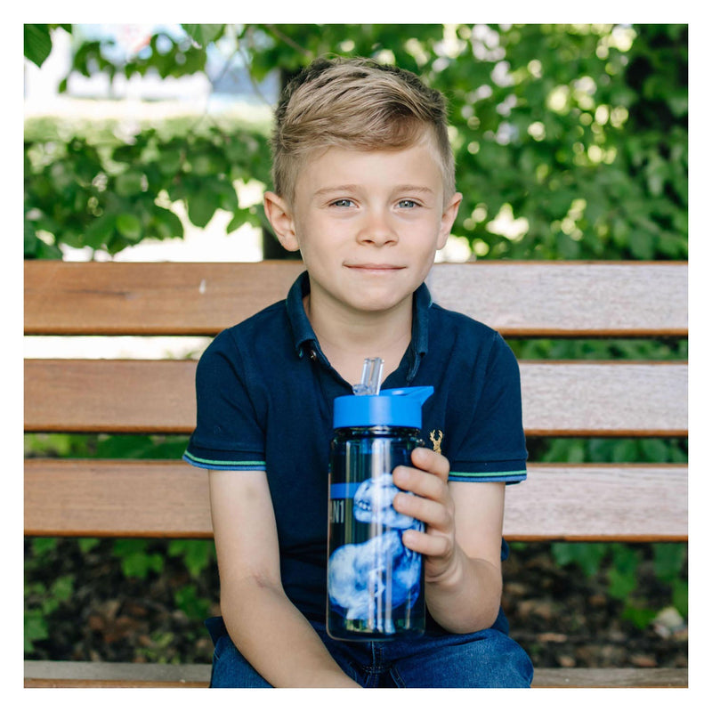 Afbeelding laden in galerijviewer, Undercover jurassic world drinkfles, 500ml
