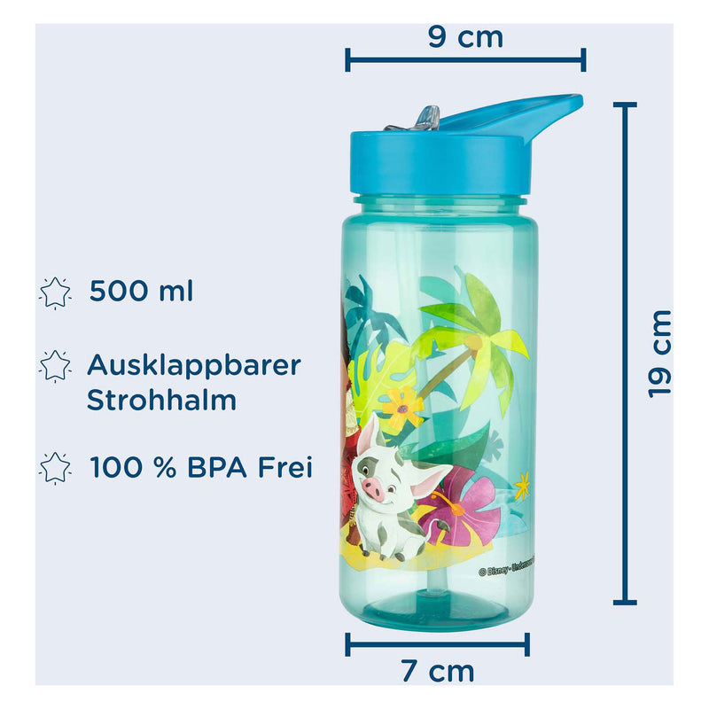 Afbeelding laden in galerijviewer, Disney vaiana serie - bidon - 500ml - veilig materiaal - nadruk hoofdbetaalfiguren
