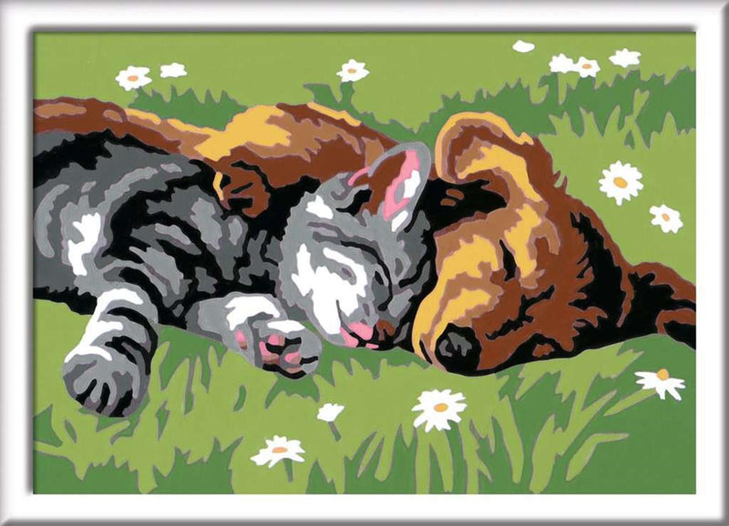 Afbeelding laden in galerijviewer, Ravensburger creart sleeping cats and dogs - schilderen op nummer voor kinderen
