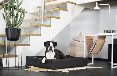 Afbeelding laden in galerijviewer, Bia bed hondenmand original zwart
