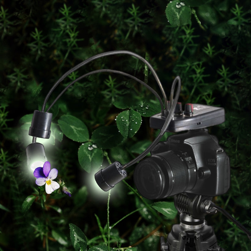 Afbeelding laden in galerijviewer, Falcon eyes macro led lamp dv-3b op batterij
