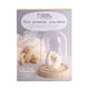 Graine creative graine kleine souvenir gips gieten set