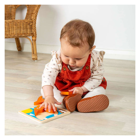 Bigjigs houten vormenpuzzel pterodactyl - 4st.