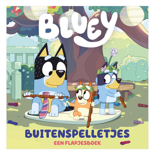 Centraal boekhuis buitenspelletjes - flapjesboek