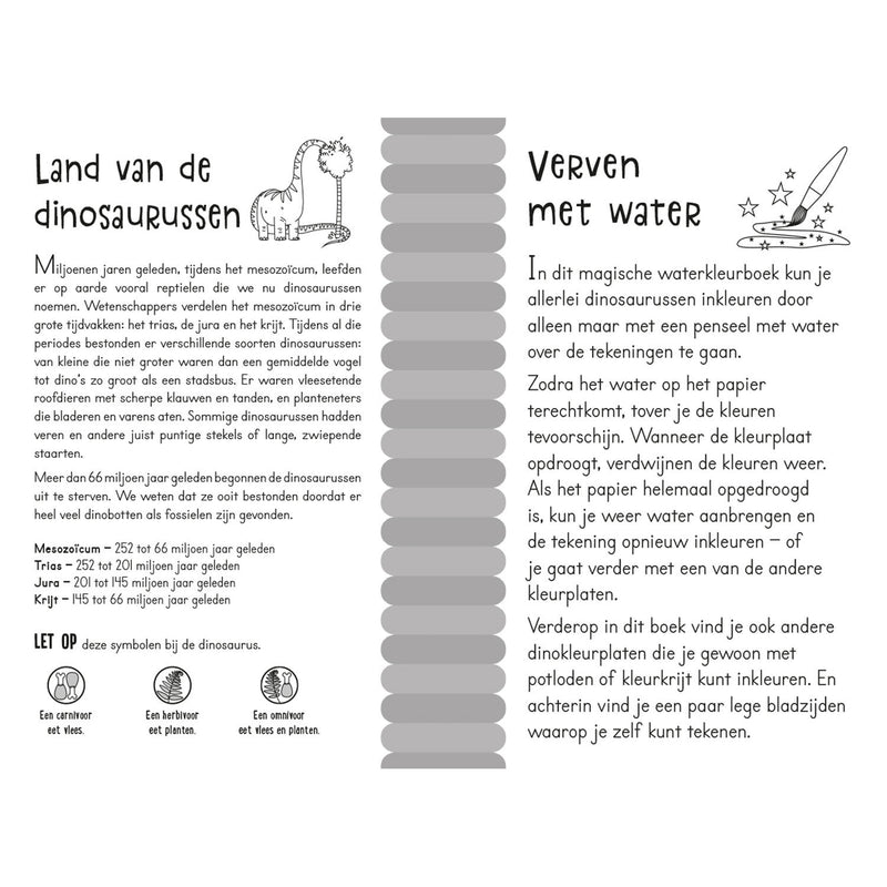 Afbeelding laden in galerijviewer, Magisch waterkleurboek - Dino's
