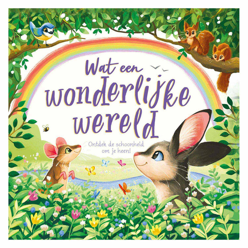 Afbeelding laden in galerijviewer, Rebo publishers wat een wonderlijke wereld

