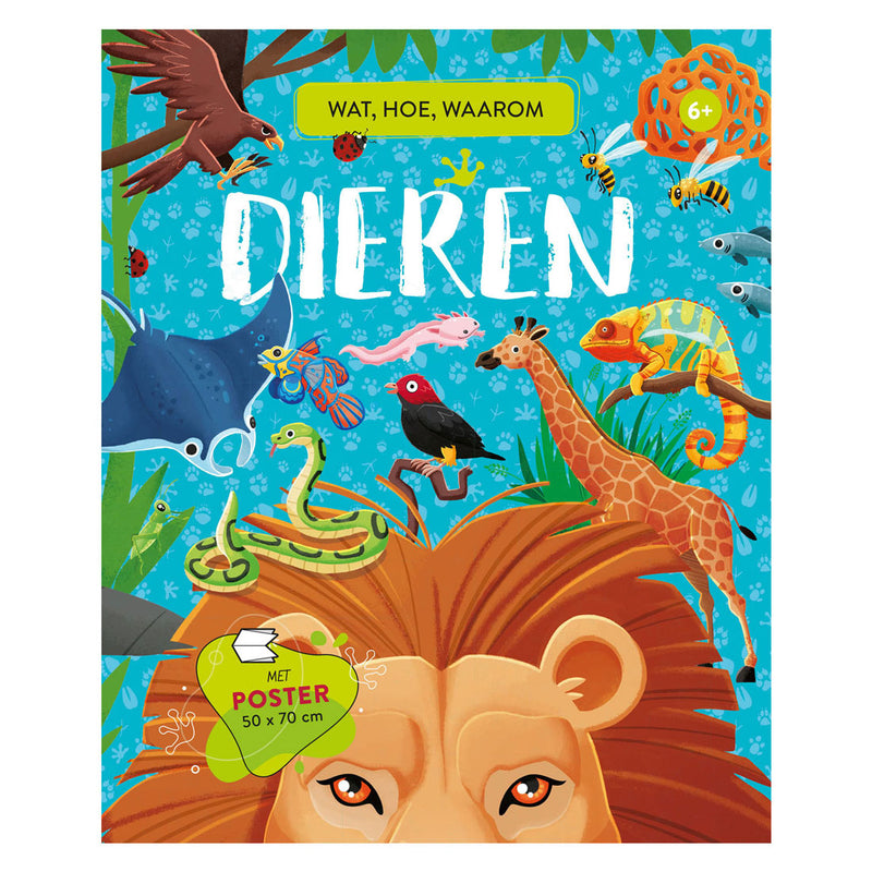 Afbeelding laden in galerijviewer, Rebo publishers dieren - wat, hoe, waarom
