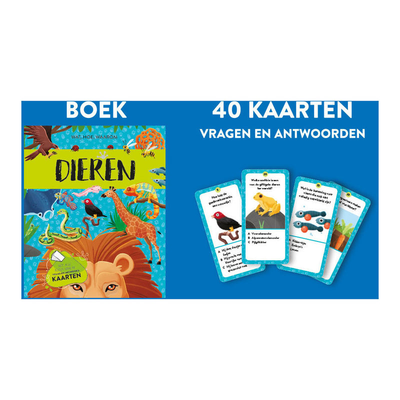 Afbeelding laden in galerijviewer, Rebo dieren - feit- en speelset
