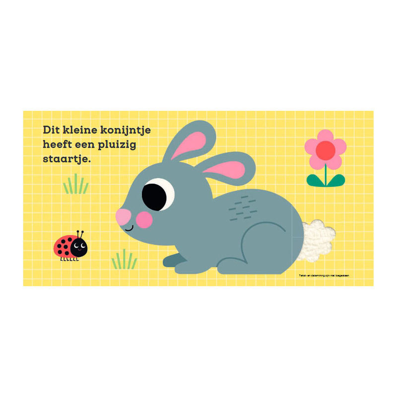 Afbeelding laden in galerijviewer, Gottmer uitgevers groep voelboek: dit kleine konijntje 1+
