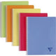 Spiraalschirften linicolor clairfontaine 328126 a4 assorti geruit