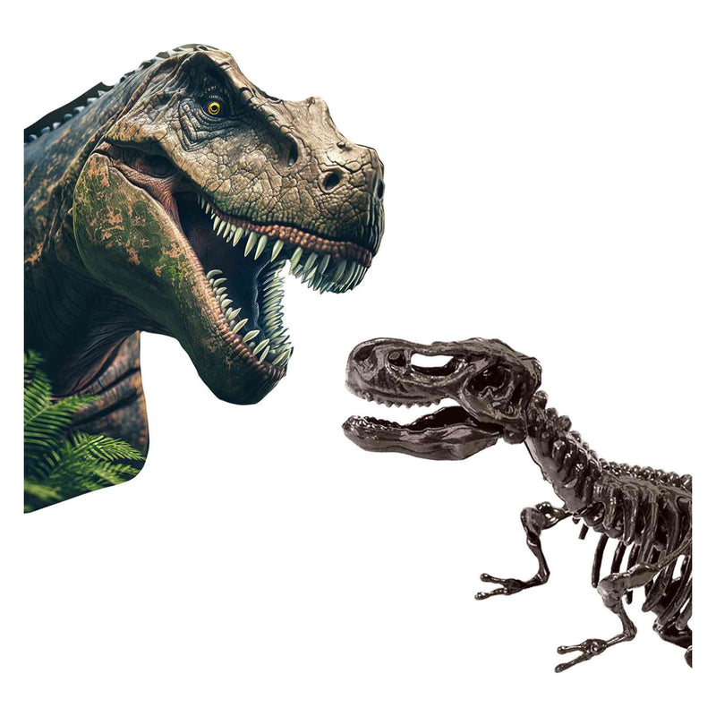 Afbeelding laden in galerijviewer, Ses explore dino en skelet opgraven 2in1 - t-rex
