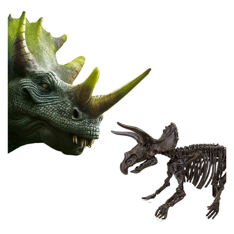 Afbeelding laden in galerijviewer, Ses explore dino en skelet opgraven 2in1 - triceratops
