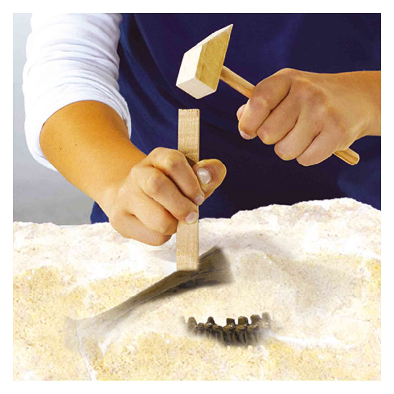 Afbeelding laden in galerijviewer, Ses explore dino en skelet opgraven 2in1 - triceratops
