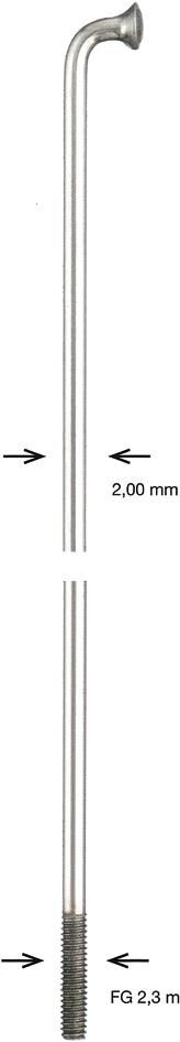 Alpina spaak spoke zinc 2x278 mm