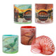 Toi-toys world of dinosaurs loopveer met dinoprint