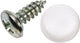 Dresselhaus nummerbordchroef no.-plate tapping screws 4.8 x 19 mm