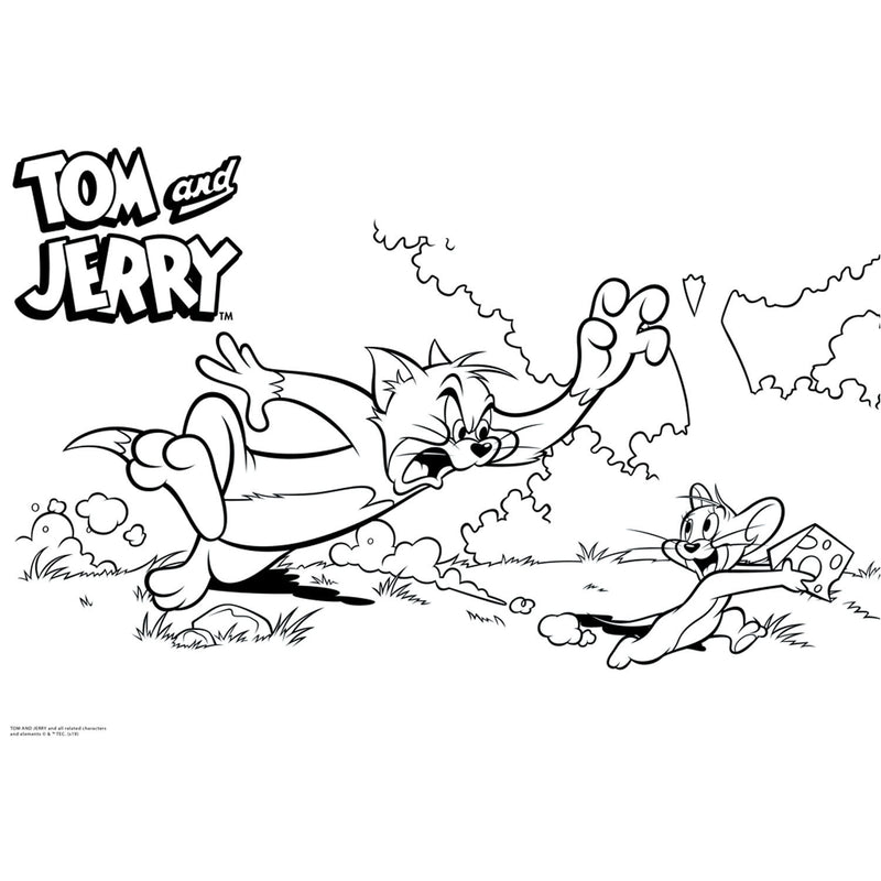 Afbeelding laden in galerijviewer, Tom Jerry Kleurplaten met Stencil en Stickervel
