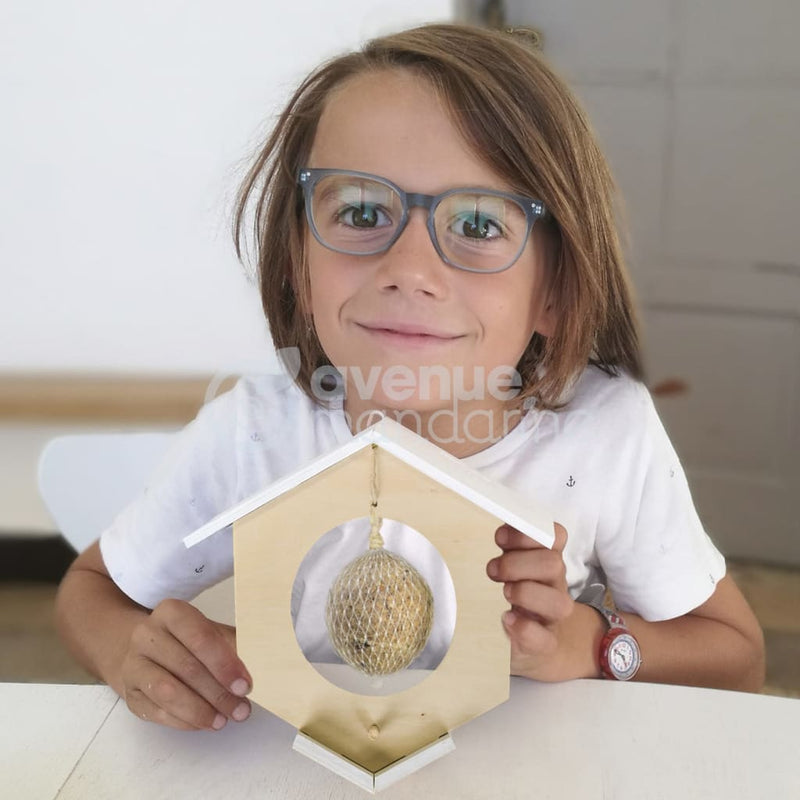 Afbeelding laden in galerijviewer, Avenue Mandarine Avenue Mandarine knutseldoos Bird Feeder to Build
