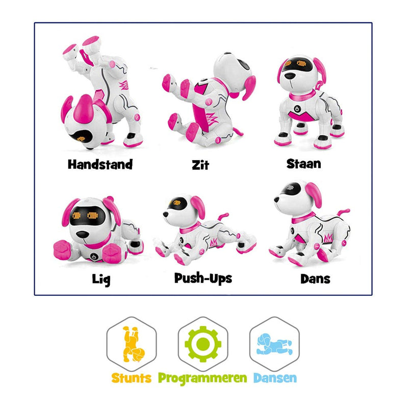 Afbeelding laden in galerijviewer, Gear2Play Robo Zoe

