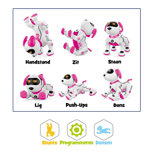 Gear2Play Robo Zoe