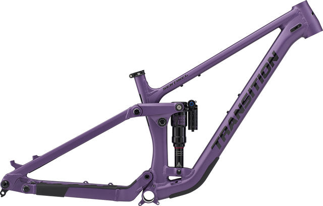 Afbeelding laden in galerijviewer, Transition sentinel alloy frame
