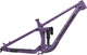 Transition sentinel alloy frame