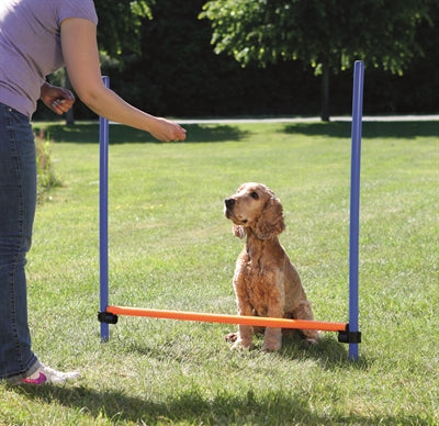 Afbeelding laden in galerijviewer, Trixie dog activity agility horde blauw oranje
