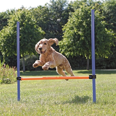 Afbeelding laden in galerijviewer, Trixie dog activity agility horde blauw oranje
