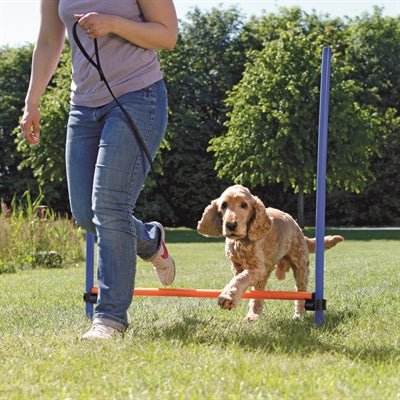 Afbeelding laden in galerijviewer, Trixie dog activity agility horde blauw oranje
